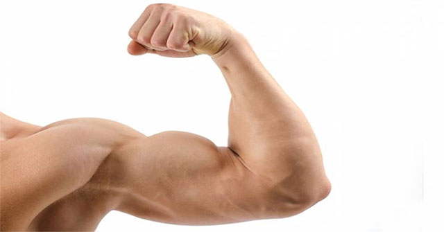 Phát hiện ra liệu pháp gene mới giúp giảm mỡ, tăng cơ