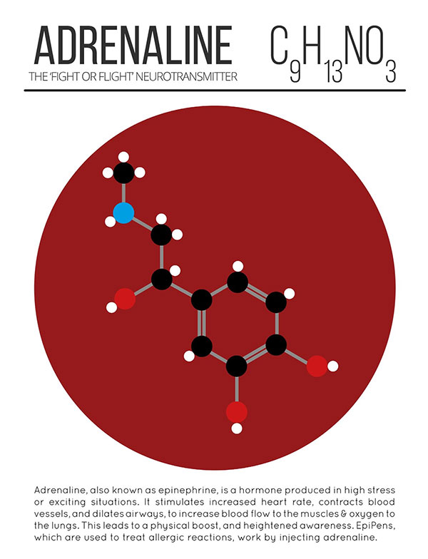 Hormone Adrenaline