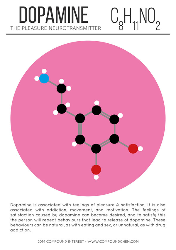 Hormone Dopamine
