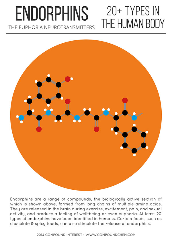 Hormone Endorphin