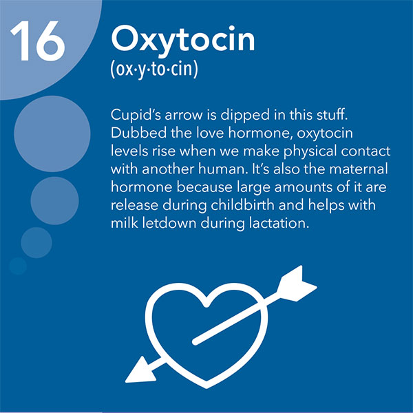 Hormone Oxytocin