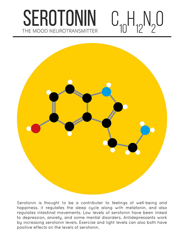 Hormone Serotonin