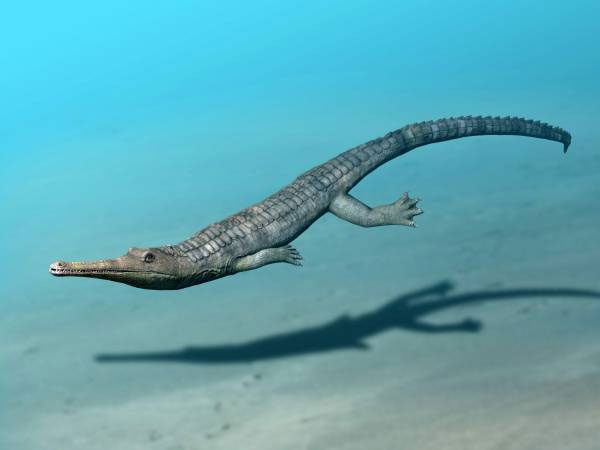 Steneosaurus.