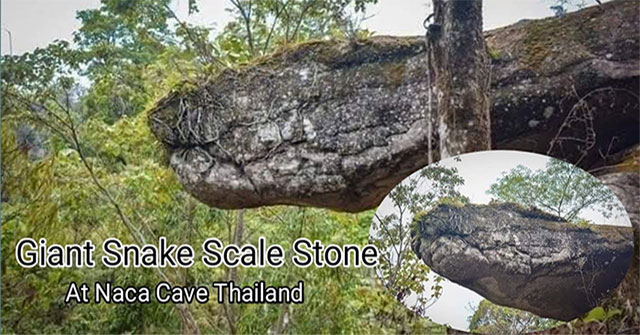 Bất ngờ phát hiện hang động hình rắn khổng lồ