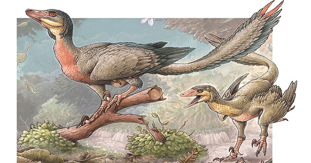 Phát hiện loài khủng long ăn thịt giống chim mới