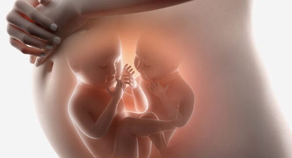 Khi mắc hội chứng truyền máu song thai, nếu không được điều trị thì 90-100% thai nhi sẽ chết.