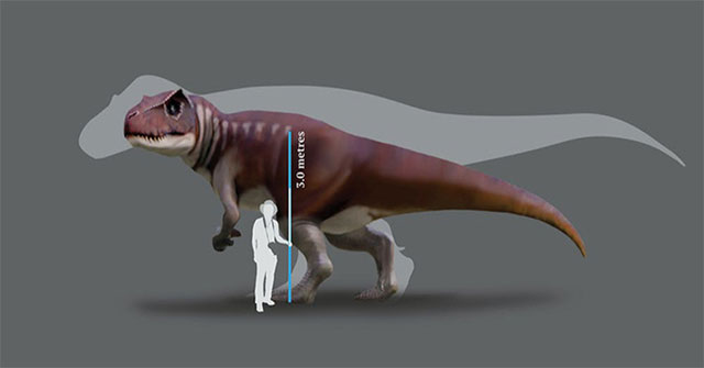 Phát hiện dấu chân "quái dị long" dài 80cm ở Australia