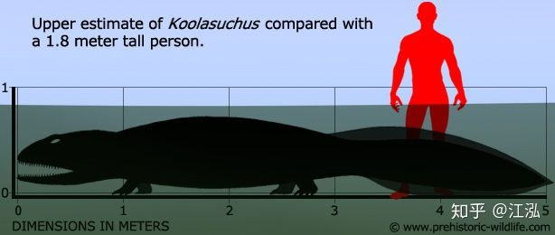 Koolasuchus là một trong 3 loài sinh vật lưỡng cư to lớn nhất từng tồn tại trên Trái Đất