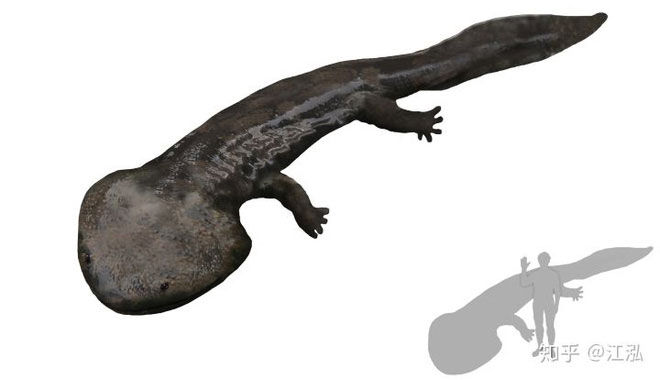 Koolasuchus là 1 chi động vật Temnospondyli (gồm các loài động vật lưỡng cư nguyên thủy) thuộc họ Chigutisauridae.