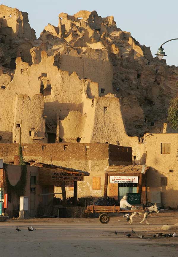 Pháo đài cổ Shali tại Siwa, Ai Cập. Siwa có các tòa nhà xây bằng vật liệu chứa muối. 