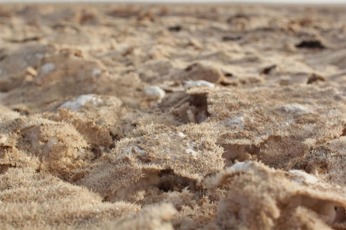 Cận cảnh một khu vực sa mạc muối ở UAE. Khu vực này có các vi khuẩn có thể hấp thu CO2