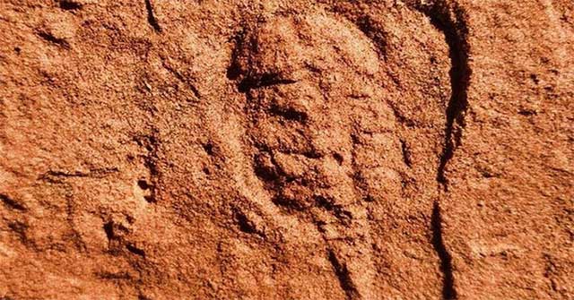 Tìm thấy hóa thạch động vật chân khớp 460 triệu năm tuổi