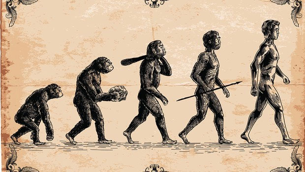 Bức vẽ nổi tiếng mang tên The March Of Progress mô tả quá trình tiến hóa của con người.