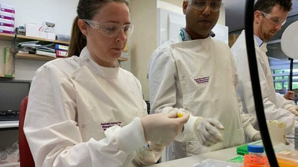 Các chuyên gia tại Đại học Queensland nghiên cứu phát triển vaccine tại phòng thí nghiệm