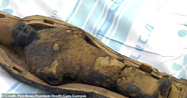 Các nhà khoa học không thể tin vào mắt mình khi nhìn ảnh chụp CT xác ướp 3000 tuổi, bên trong có gì vậy?