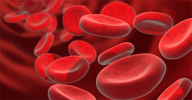 Tuổi thọ của con người liên quan nồng độ sắt trong máu