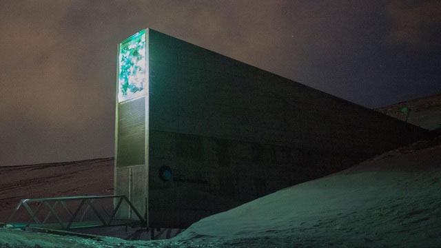 Căn hầm hạt giống toàn cầu Svalbard Global Seed Vault (SGSV).