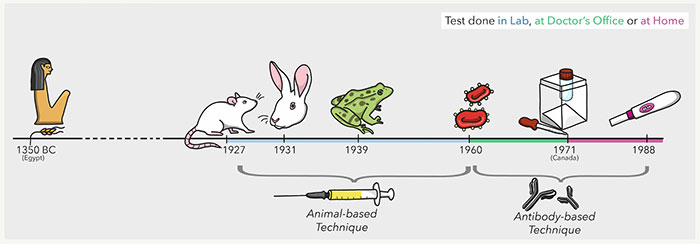 Các phương pháp thử thai từ xưa tới nay.