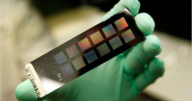 Môi trường ảnh hưởng đến khoảng 70% các yếu tố cấu tạo nên gene và biểu hiện của chúng.