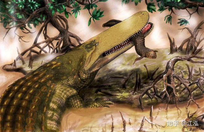 Cá sấu Stomatosuchus inermis có thân hình phình to, chân tay ngắn và cái đuôi dày đằng sau.