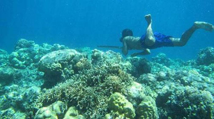 Tộc người Bajau lặn biển với cây giáo dài để bắt hải sản.