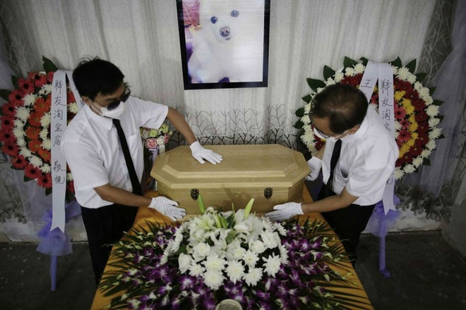 Ngành học này có điểm xét tuyển thấp nhưng sinh viên ra trường lại rất được "chuộng".