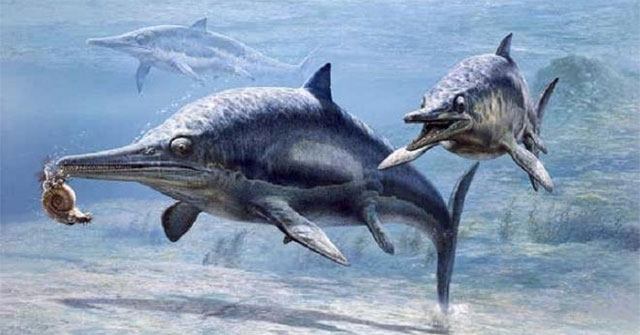 Tham ăn, loài bò sát biển cổ đại chết trong đau đớn