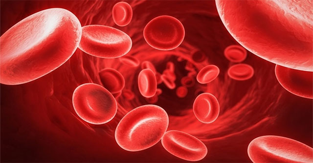 Nhóm máu âm tính Rh: Bí ẩn của dấu trừ