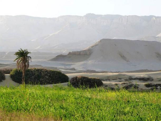 Các ốc đảo giữa sa mạc là tiền đề giúp văn minh Ai Cập phát triển.