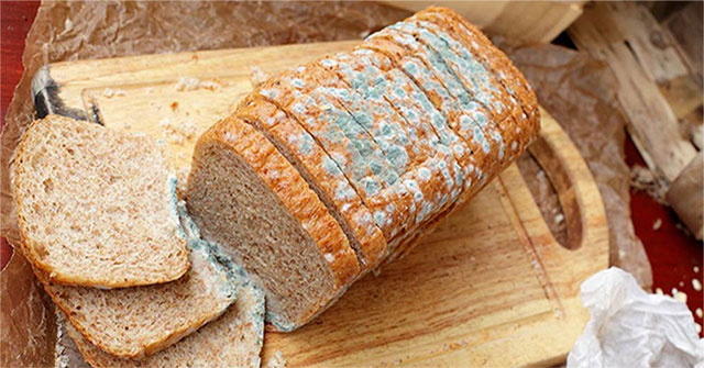 Những độc tố nấm mốc trong thực phẩm gây ung thư