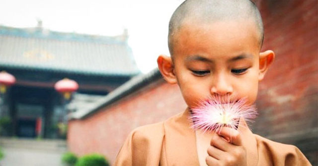 Trên đời nên hạn chế hỏi "Tại sao" thì mới có thể thành công