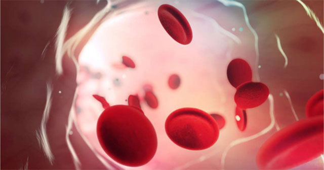 Nhóm máu duy nhất có thể tự động chống lại căn bệnh giết nửa triệu người mỗi năm