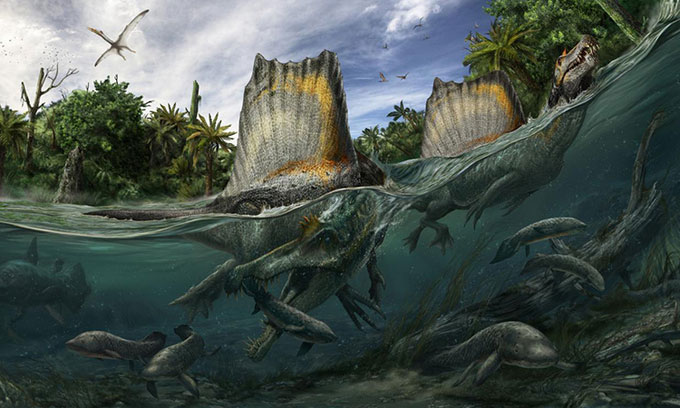 Đồ họa mô phỏng một con Spinosaurus aegyptiacus săn mồi dưới nước.