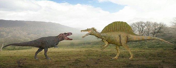 Spinosaurus  có kích thước lớn hơn cả khủng long bạo chúa (trái).
