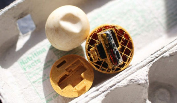 Những quả trứng được làm giả bằng công nghệ in 3D, bên trong gắn máy thu phát GPS