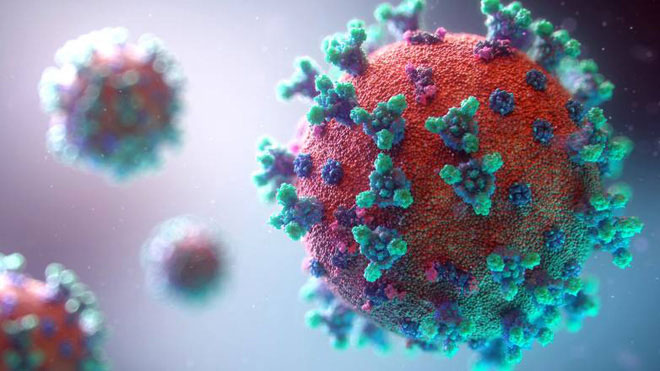 Hình minh họa mô tả các phần tử của coronavirus mới, thứ gây ra Covid-19.