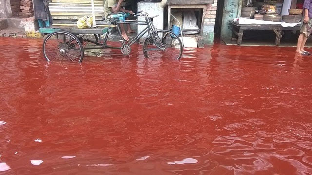 Trận mưa có màu đỏ như máu ở Kerala, Ấn Độ.