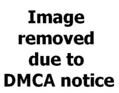 Một thông báo DMCA về hình ảnh vi phạm bản quyền.