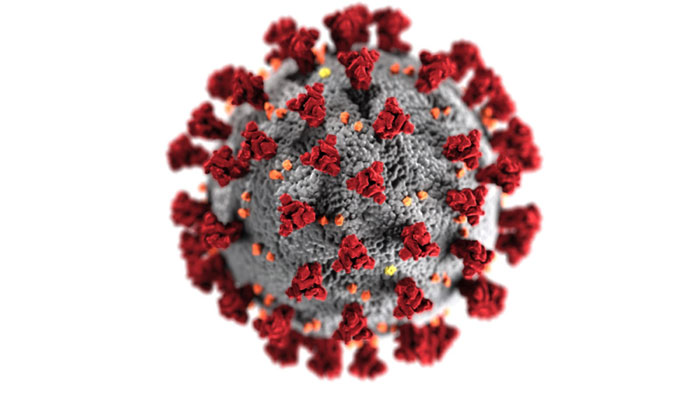Hình minh họa một phân tử virus Corona.
