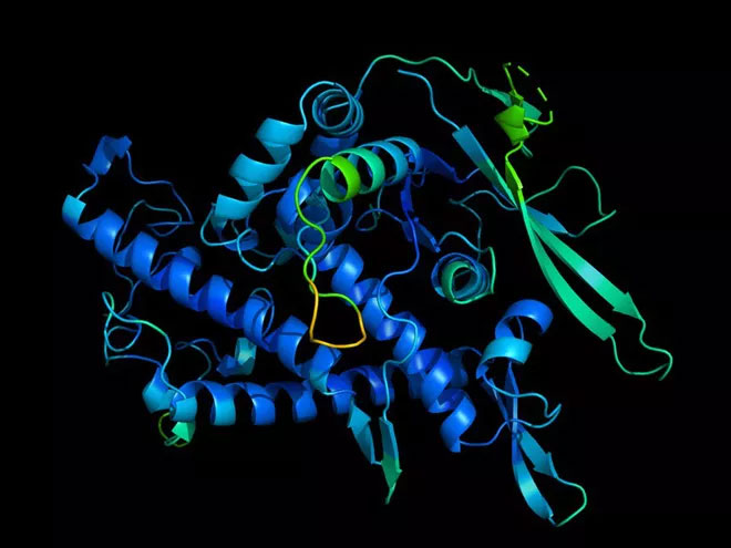 Đây là hình ảnh cấu trúc protein do DeepMind tạo ra.