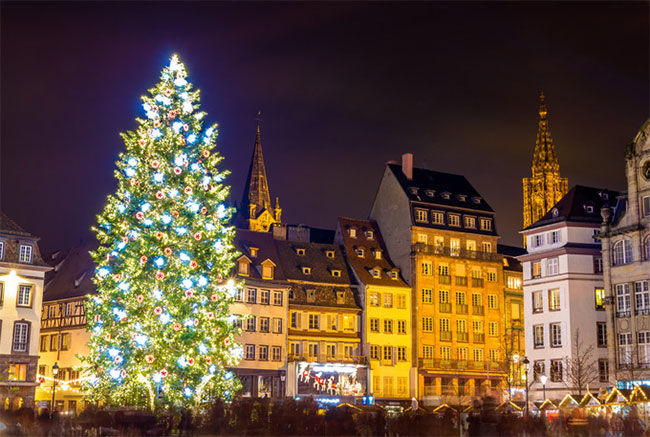 Cây thông tại quảng trường Strasbourg