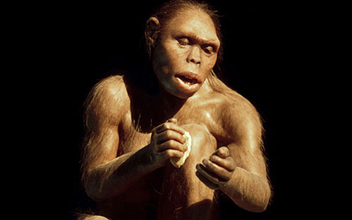 Người Homo habilis sống ở châu Phi cách đây khoảng 2,2 triệu năm