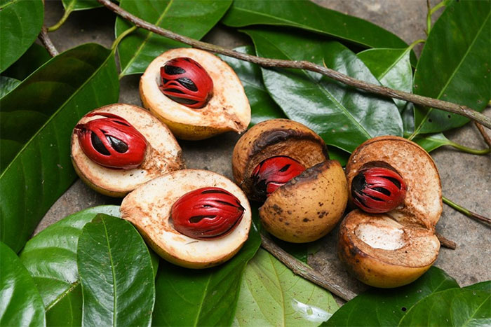 Nhục đầu khấu