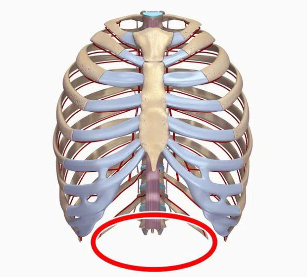 Xương sườn số 13