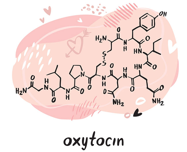 Công thức cấu tạo oxytocin.