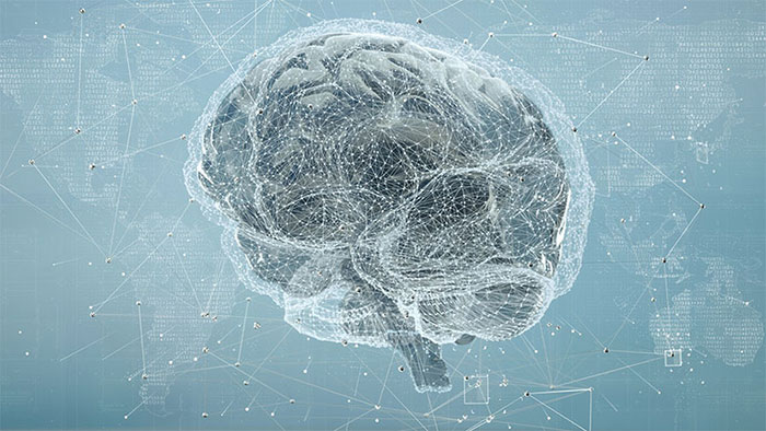 Bộ não con người một hệ thống phức tạp mà không máy tính điện tử nào có thể sánh nổi