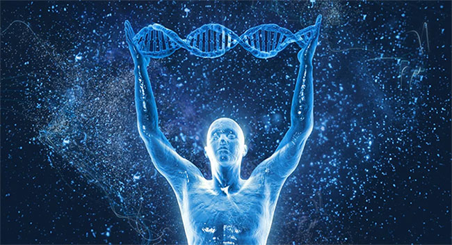 Độ dài của telomere được coi là dấu ấn sinh học quan trọng đối với sức khỏe