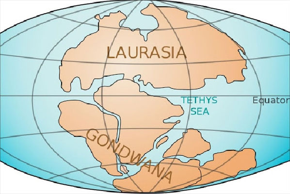 Siêu lục địa Gondwana vào 200 triệu năm trước