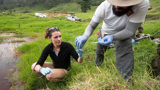 PGS. Lloyd (nữ) cùng cộng sự lấy mẫu vi khuẩn tại suối nước nóng ở Costa Rica.
