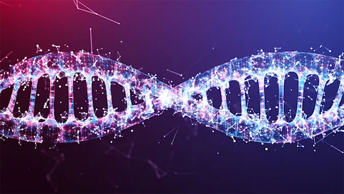 Khi nói đến chỉnh sửa gene, CRISPR-Cas9 là kỹ thuật được biết đến nhiều nhất